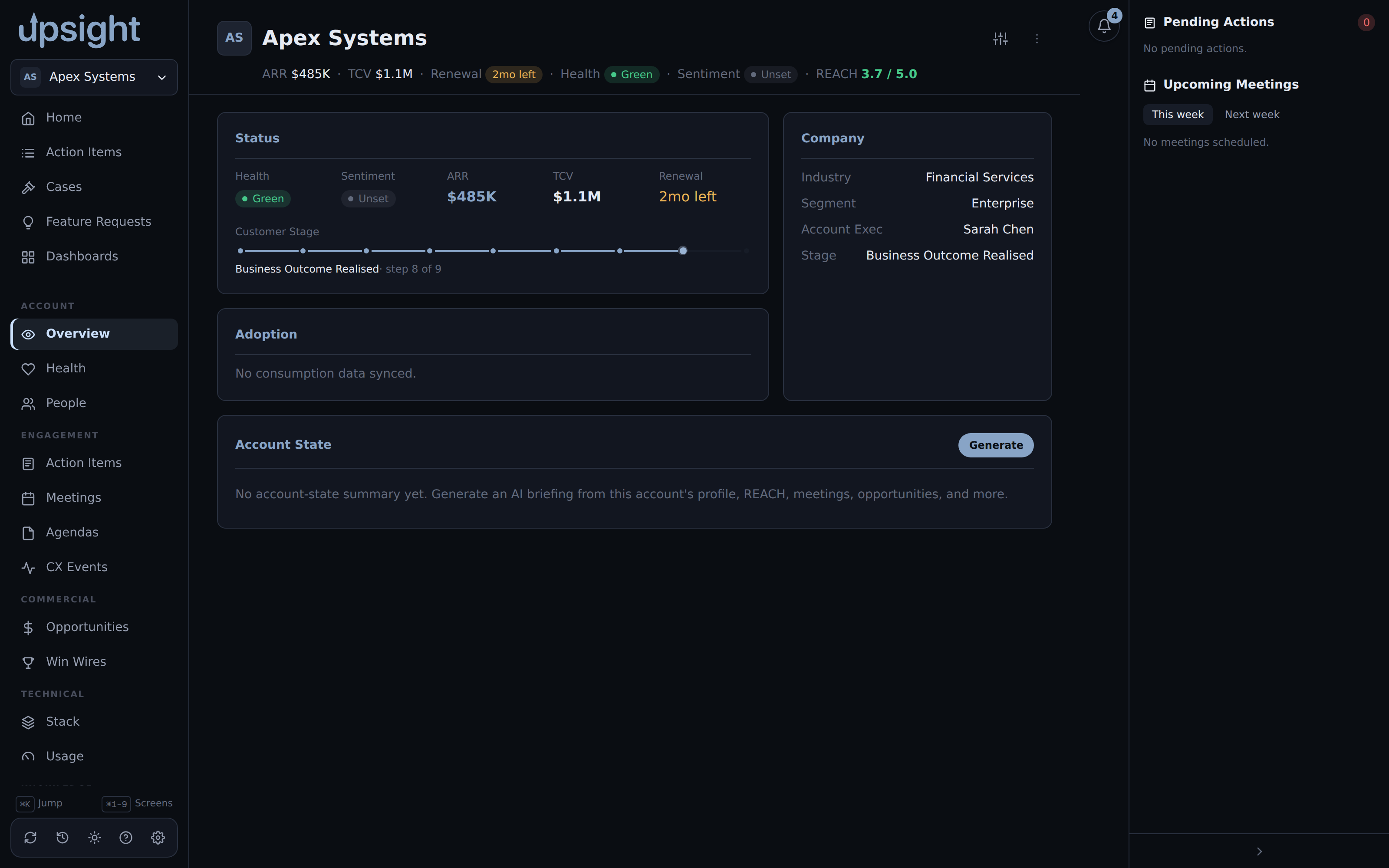 An account's Overview tab
