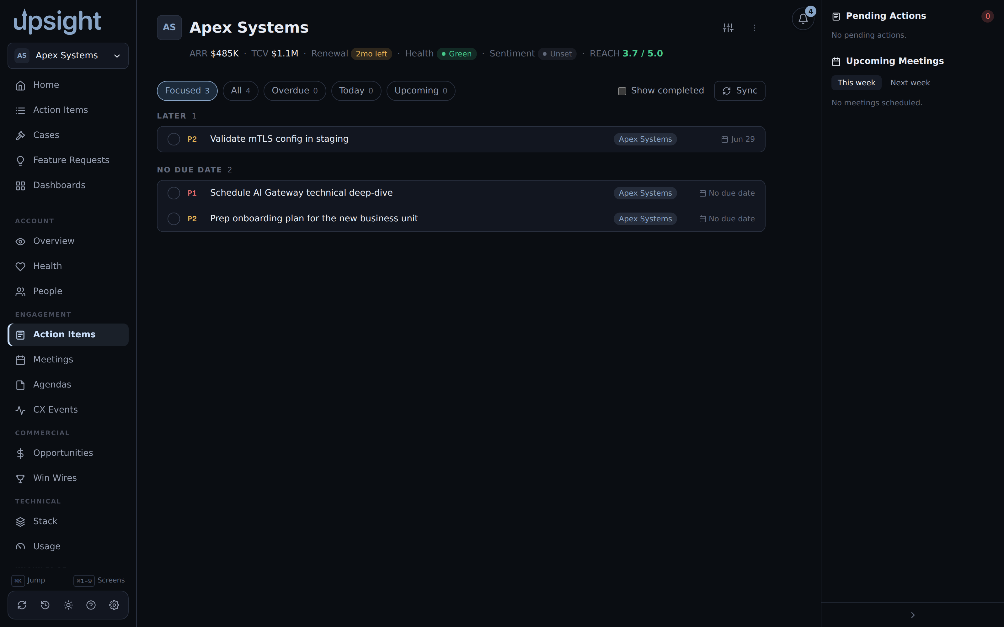 The account Action Items tab